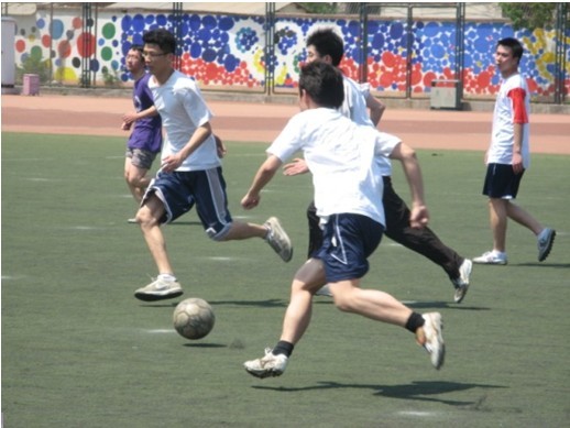 地增添了无 地增添了无