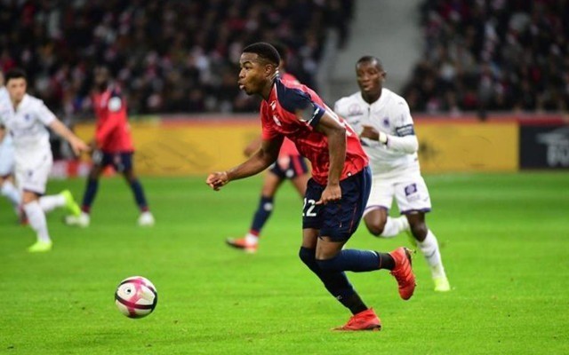 评论员后 评论员后